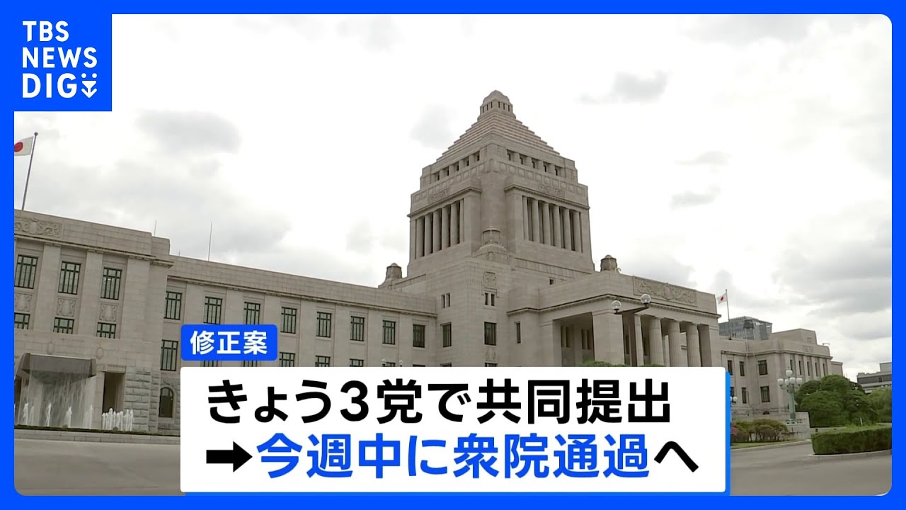 年金制度改革関連法案の修正案きょう国会に提出へ　基礎年金の底上げ盛り込む　今週中に衆院通過の見通し｜TBS NEWS DIG