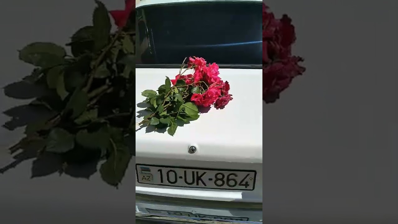 Teymur Gozelov ( Gozle gulum) sevgiye aid super goruntu     #10uk864🌹❤
