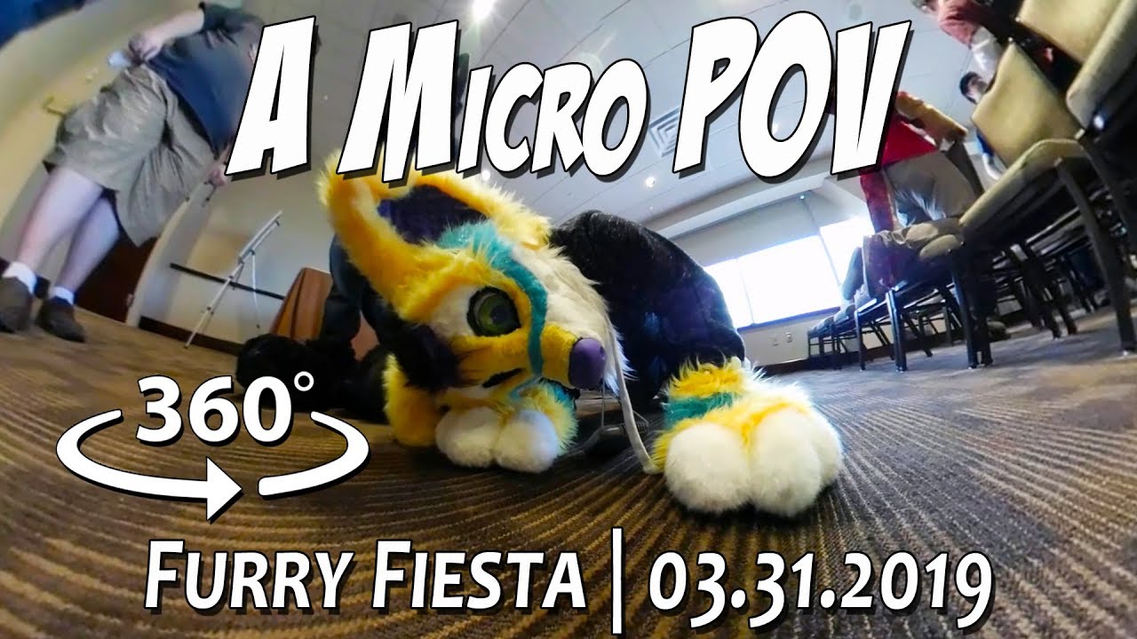 TFF 2019: A Micro POV (360º)