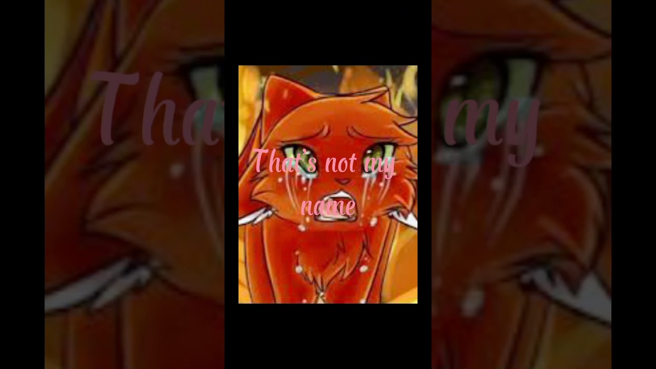 That’s not my name ! #laguerredesclans #warriorcats #lgdc