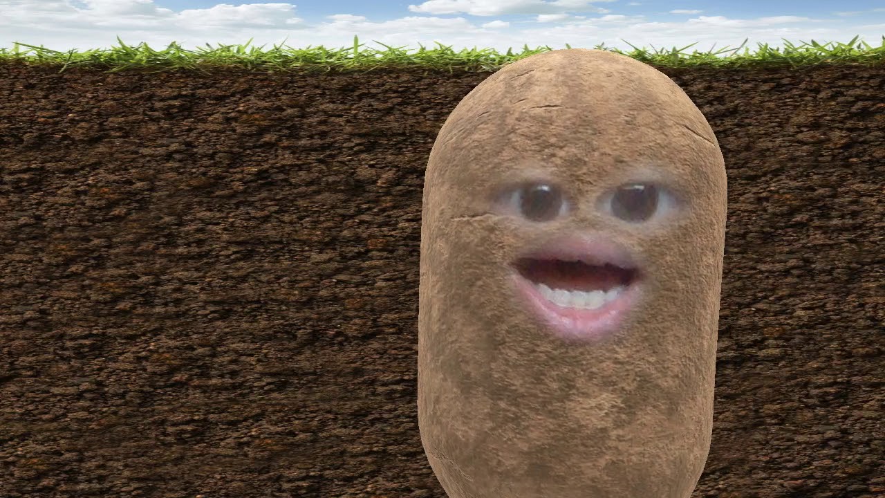 The Annoying Potato will beat annoying orange