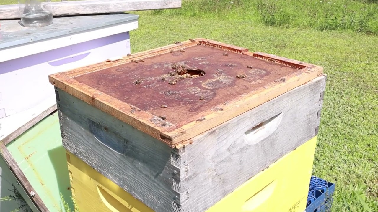 The Bee Friendly Community Association