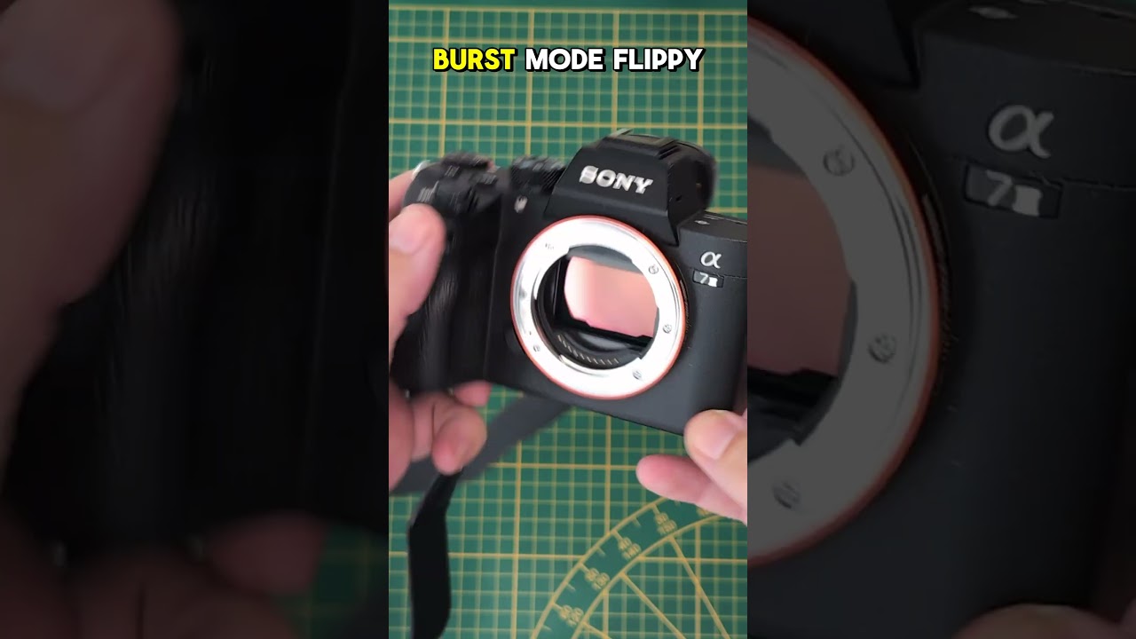 The Best Budget Full Frame Camera  #streetfotography #photography #camera