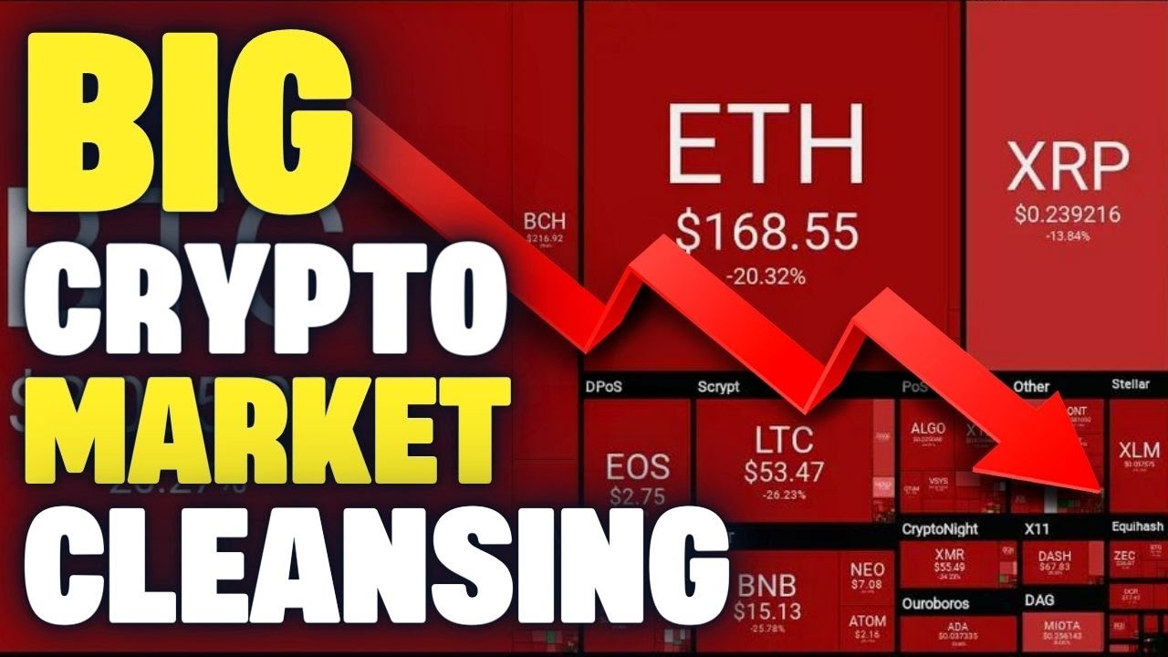 The BIG Bitcoin & Crypto Market Cleansing...