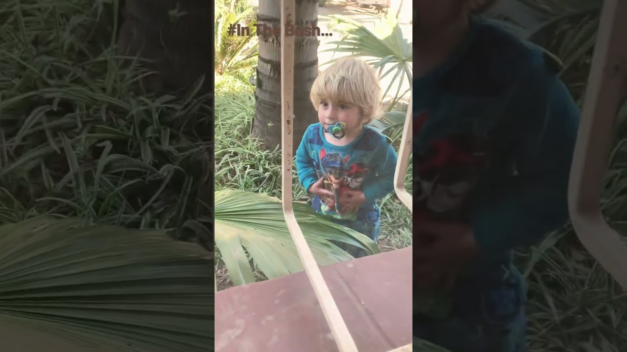 The Bush…TikTok inspired 🤣 #inthebush #toddlersofyoutube #toddlersofinstagram #toddlersoftiktok