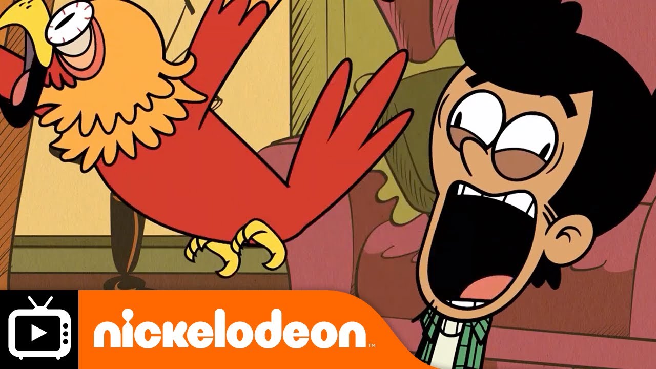 The Casagrandes | Gato Bobby | Nickelodeon UK
