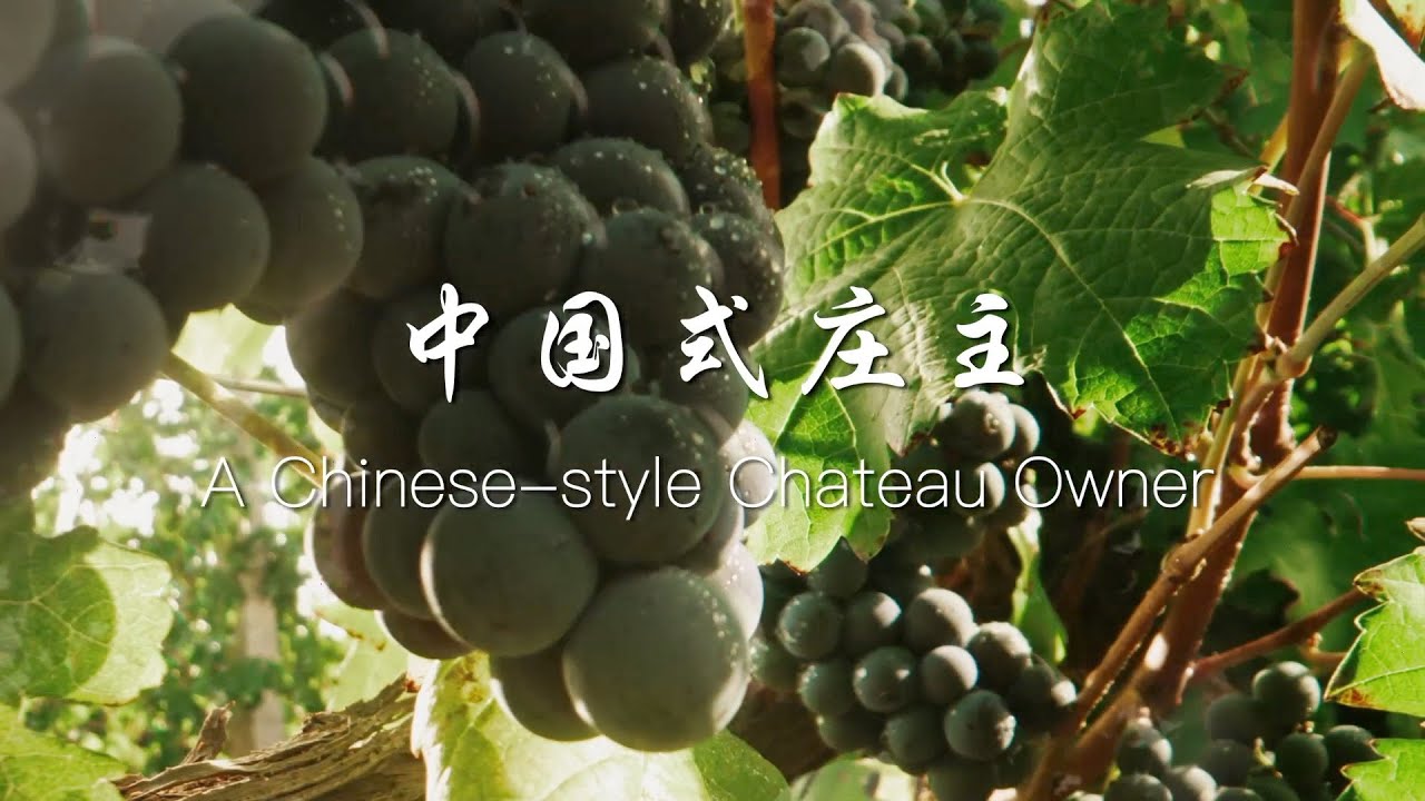 The Chinese-style chateau and its owner