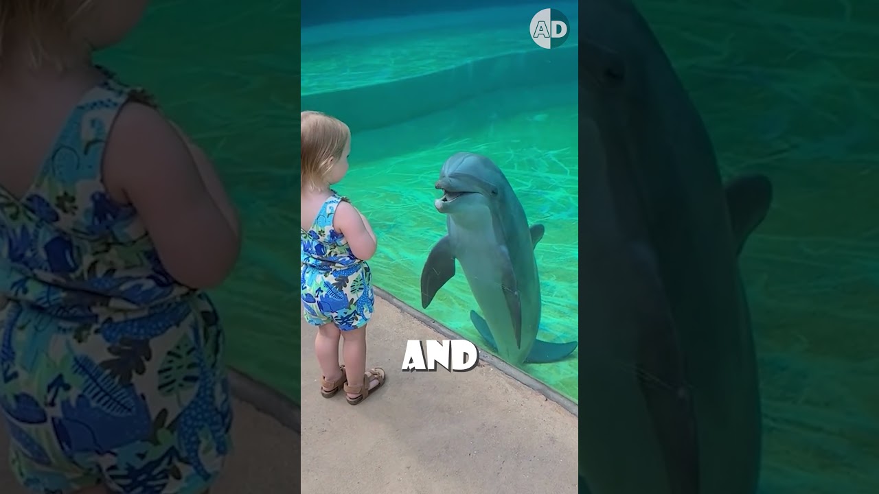 The Dark Side of Dolphins: Bullying, Gangs, and Surprising Facts! 🌊🐬