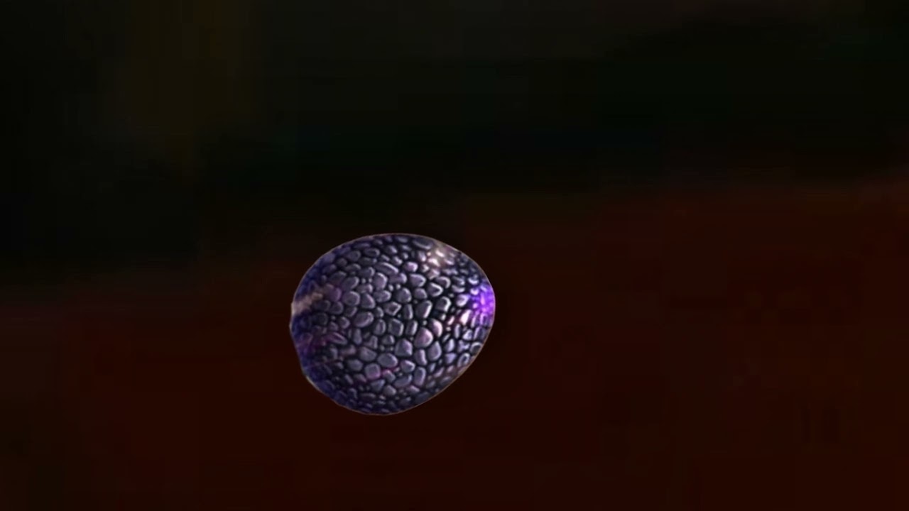 The Egg went under the bed