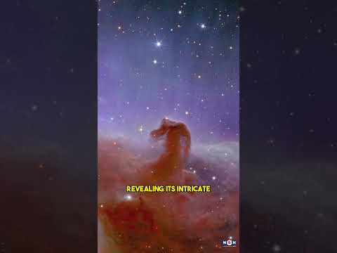 The First Images from the Euclid Telescope: Stunning Views of the Cosmic Structures