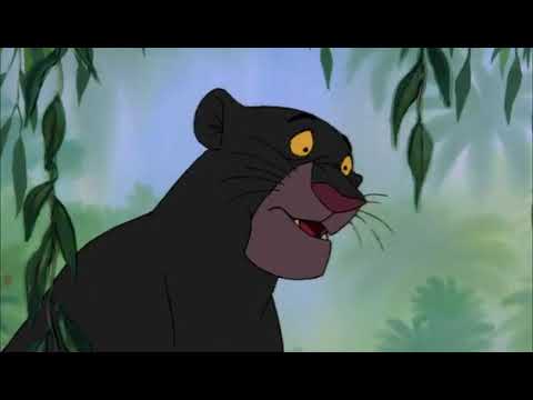 The Jungle Book (1967) Bagheera meets baby Mowgli / Wolf meets baby Mowgli scene
