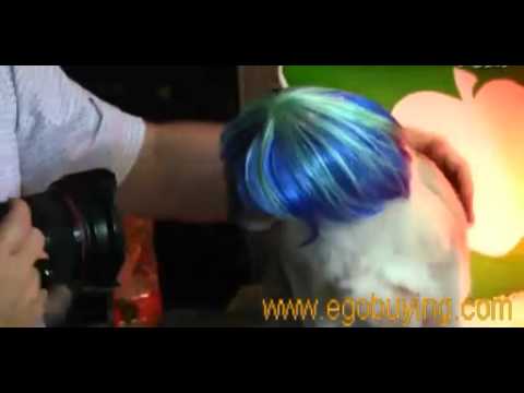The kitten play the show   cats bring wig
