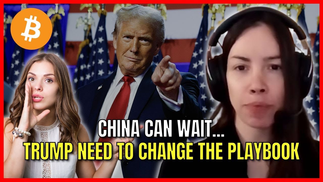 The Market Is In Turmoil. Trump Has To Be CAREFUL. Lyn Alden