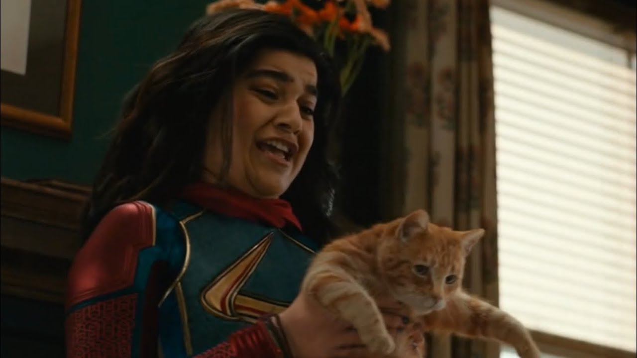 The Marvels - Kamala and Her Family Got Panicked with The Flerken