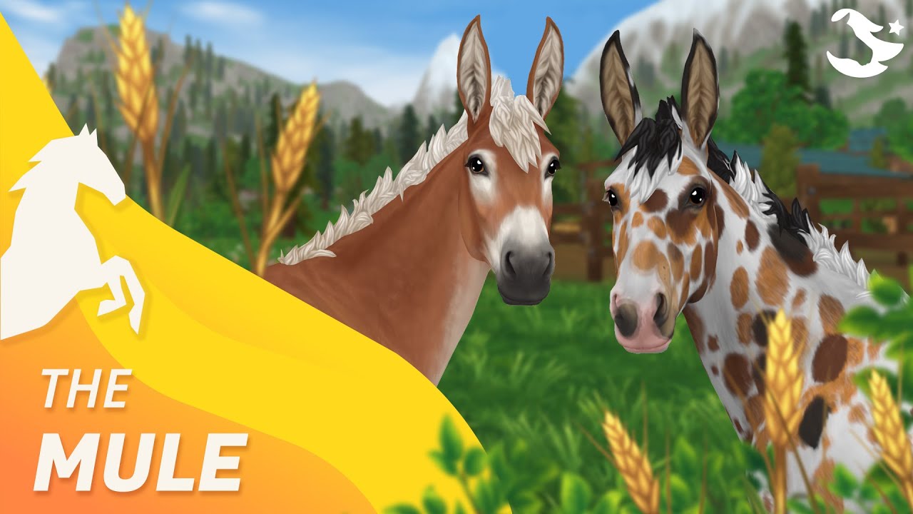 The Mule ✨ | Star Stable Horses