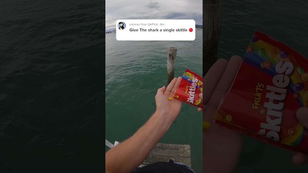 The North Sea Is Scary! 😱