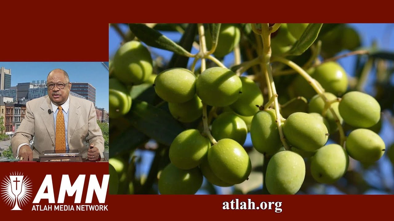 THE OLIVE OIL ANOINTING