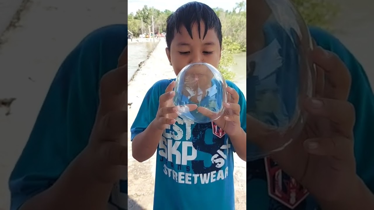 The Plastic Balloon  #shorts