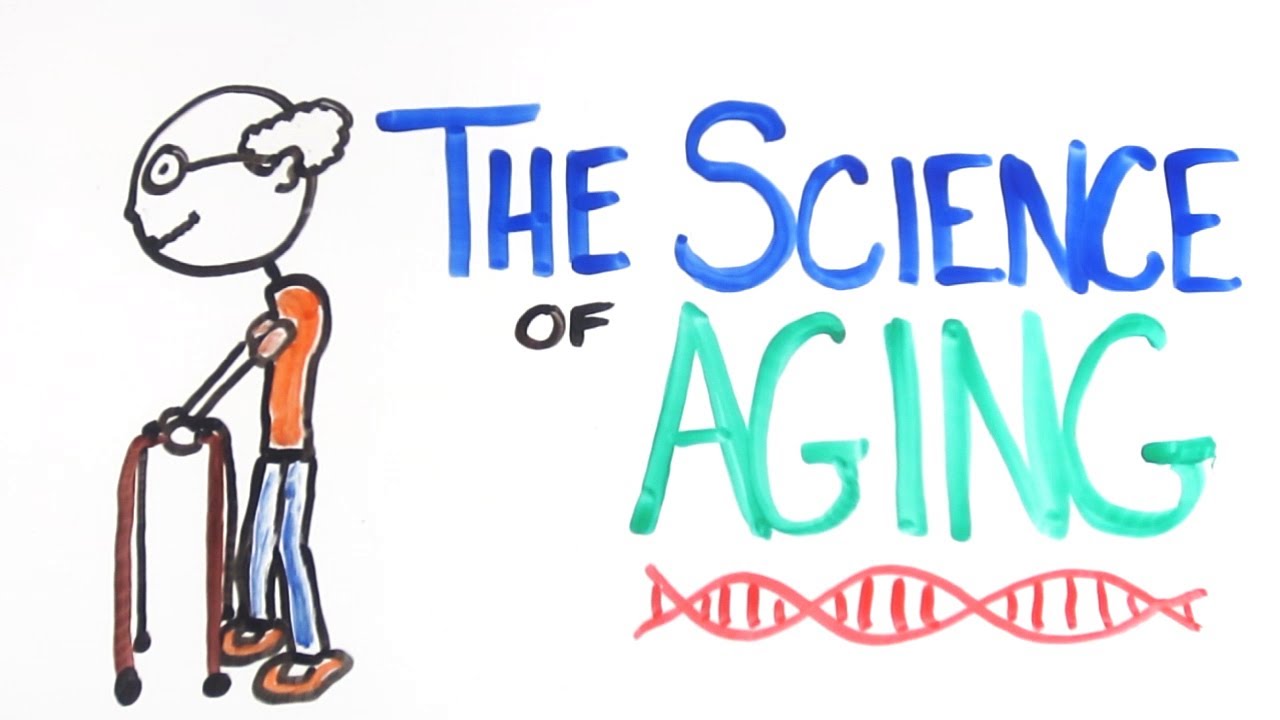 The Science of Aging