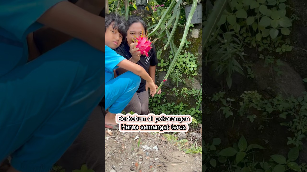 The secret of home gardening for family food security #garden #gardeningathome #gardening #garden