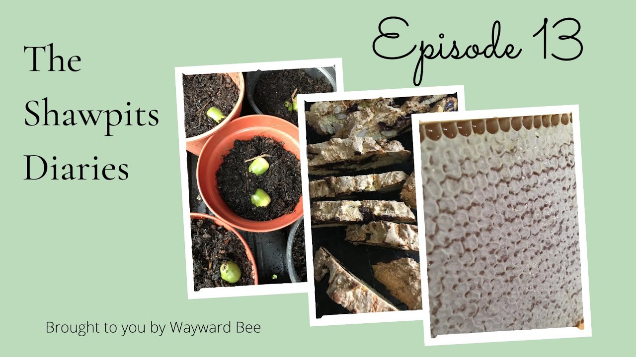 The Shawpits Diaries Episode 13
