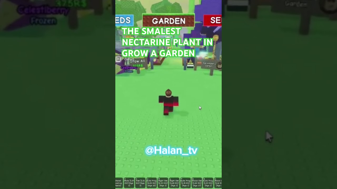 THE SMALEST NECTARINE PLANT IN GROW A GARDEN