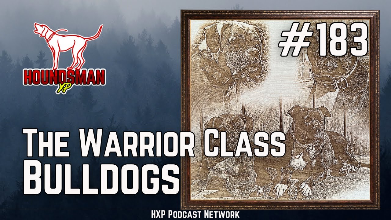 The Warrior Class Bulldogs | HXP #183