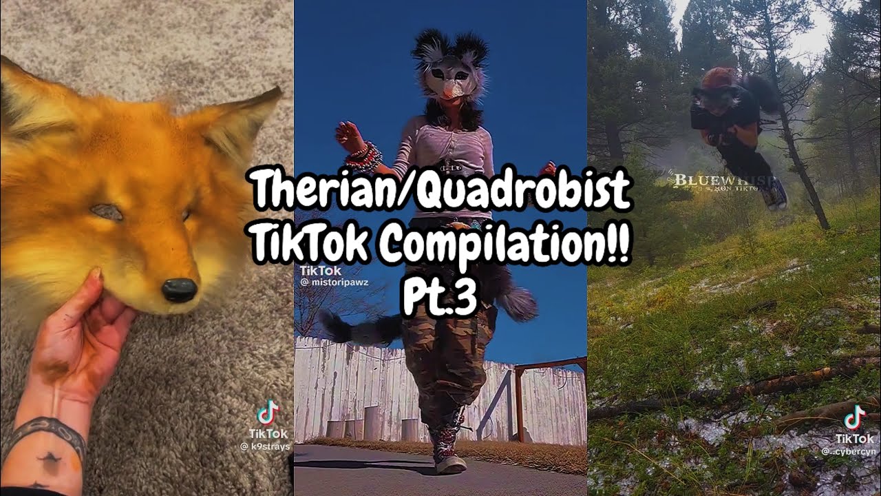 Therian/Quadrobist TikTok Comp!!