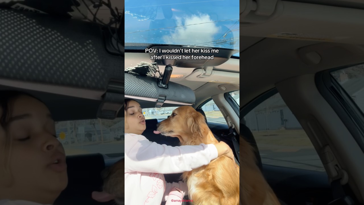 This Dog Faced the Saddest Kiss Rejection