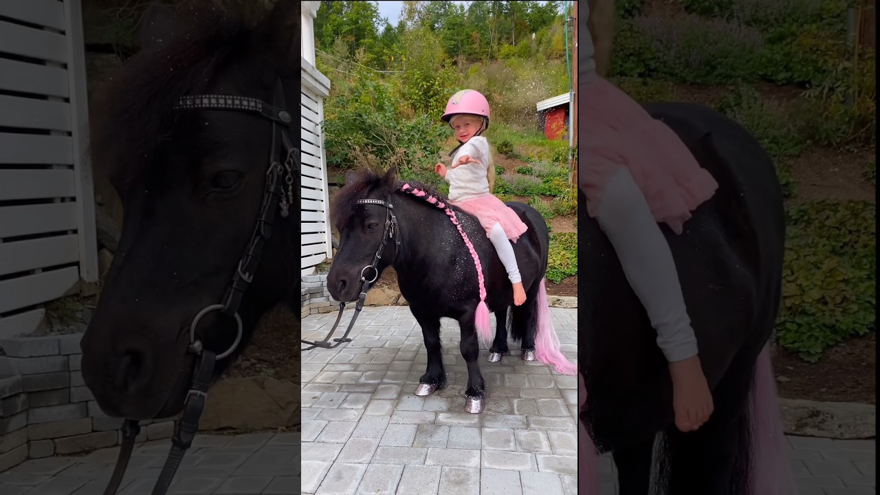 This is plant-based ECO friendly glitter🩷✨ #shortsvideo #horse #pony #glitter