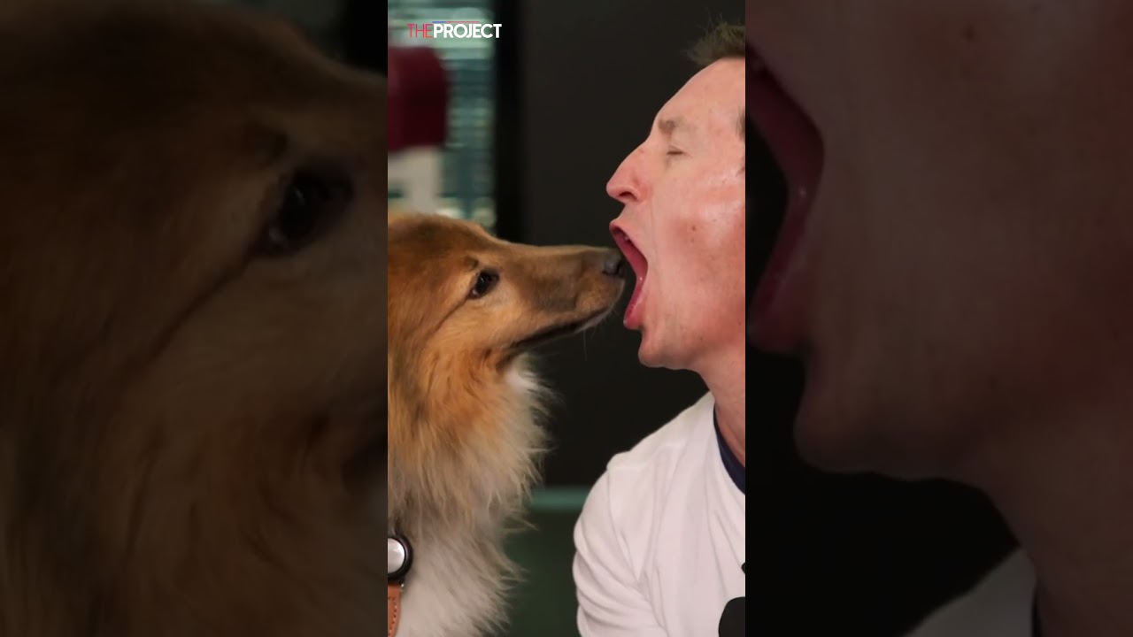 This kiss with a dog may have gone too far…