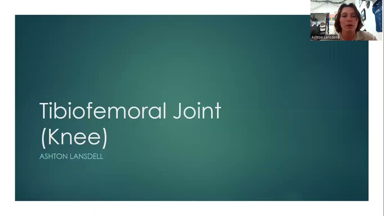 Tibiofemoral Joint