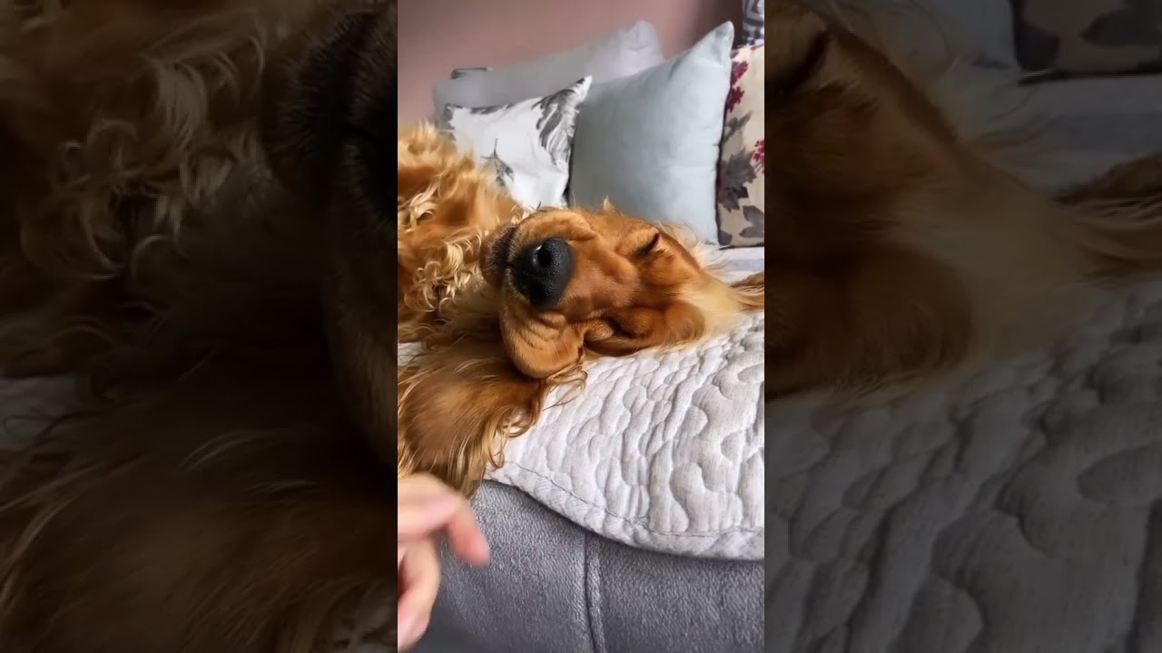Tickle ME!