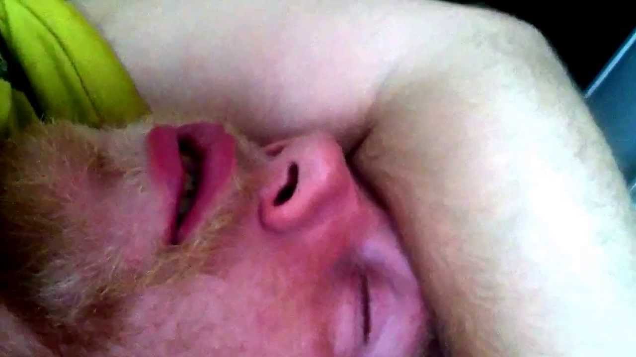 Tickling part 2 / quack lol