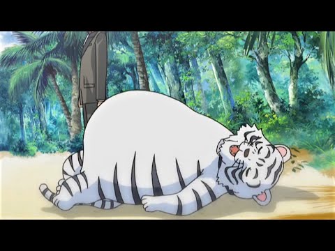 Tiger ate person (HTCB E18+32)