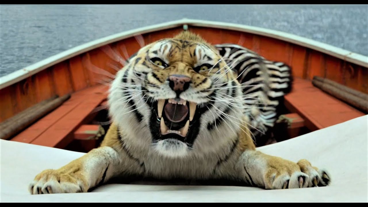 Tiger eats rat (LOP)