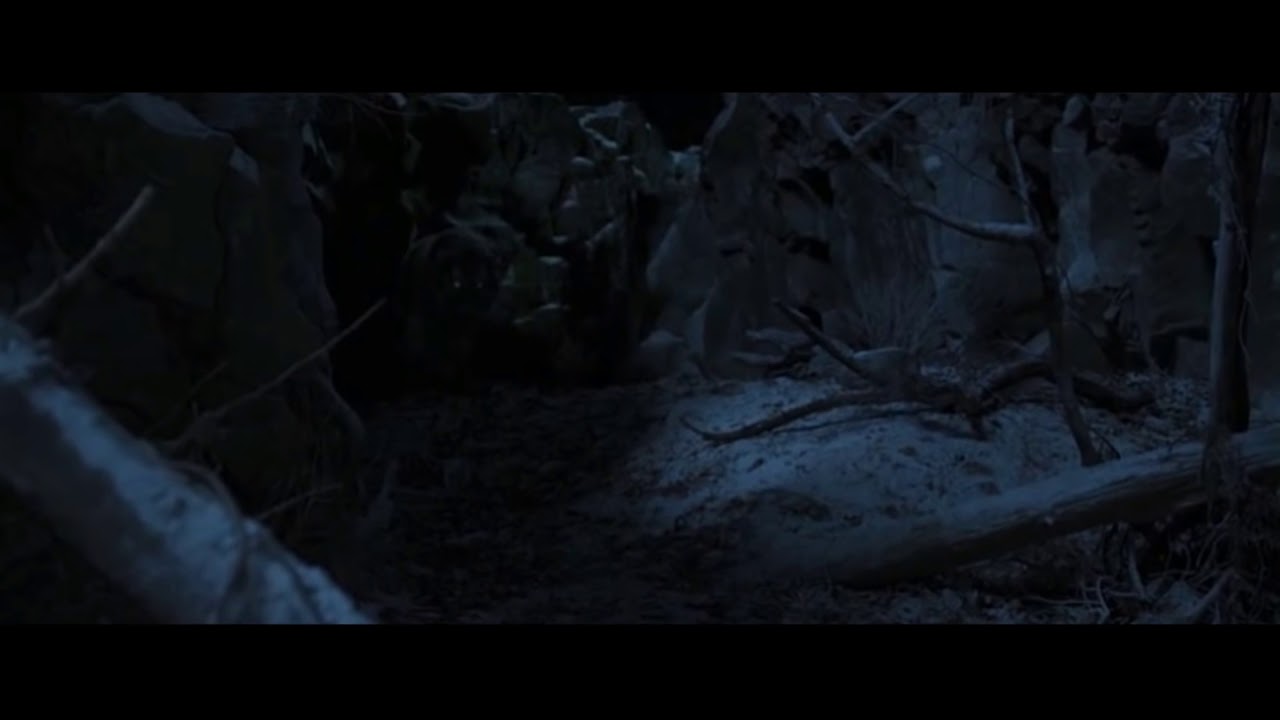 Tiger vs wolves