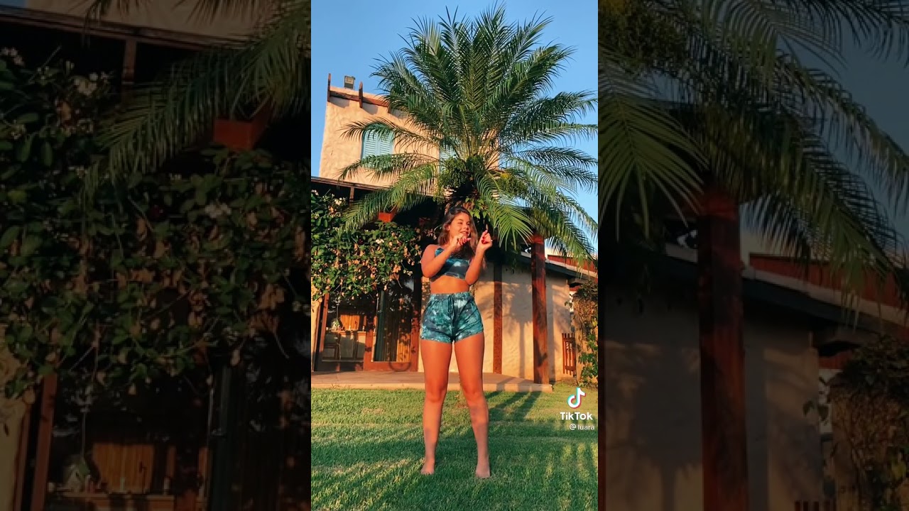 TIKTOK DA LUARA FONSECA (5)