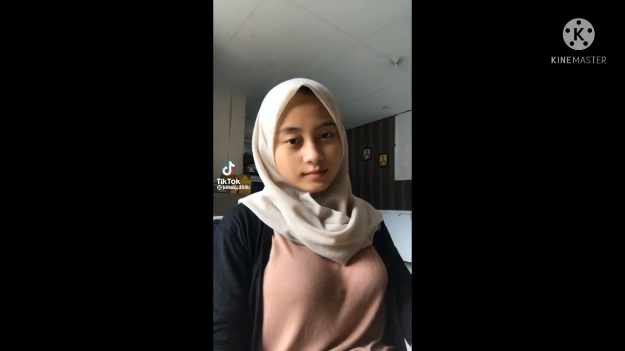 Tiktok gunung gede