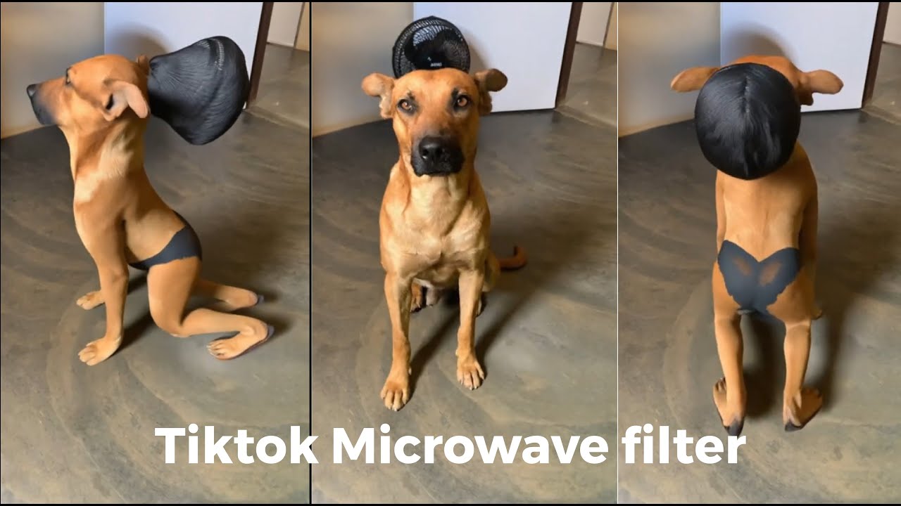 Tiktok Microwave Filter Funniest Compilation