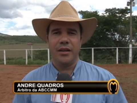 TIRA DÚVIDAS - CRUZAMENTOS