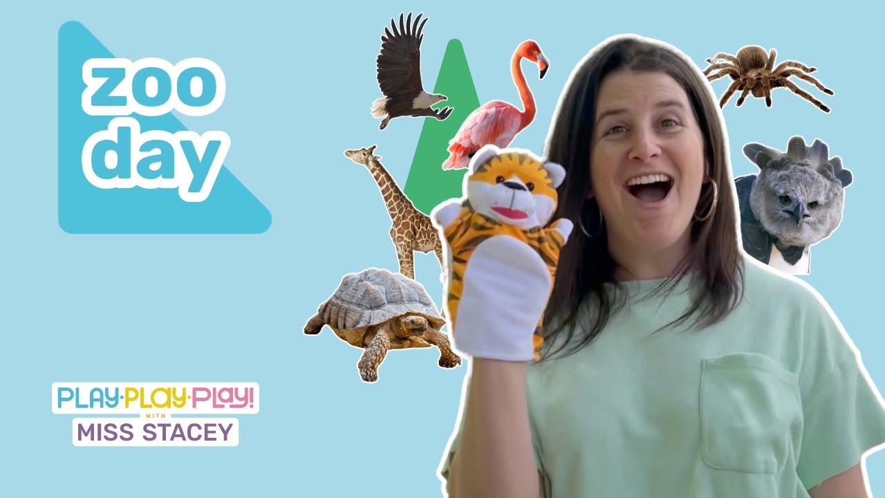 Toddler Learning - Critical Thinking, Language Development, Animal Sounds, Zoo Play Miss Stacey Ep19
