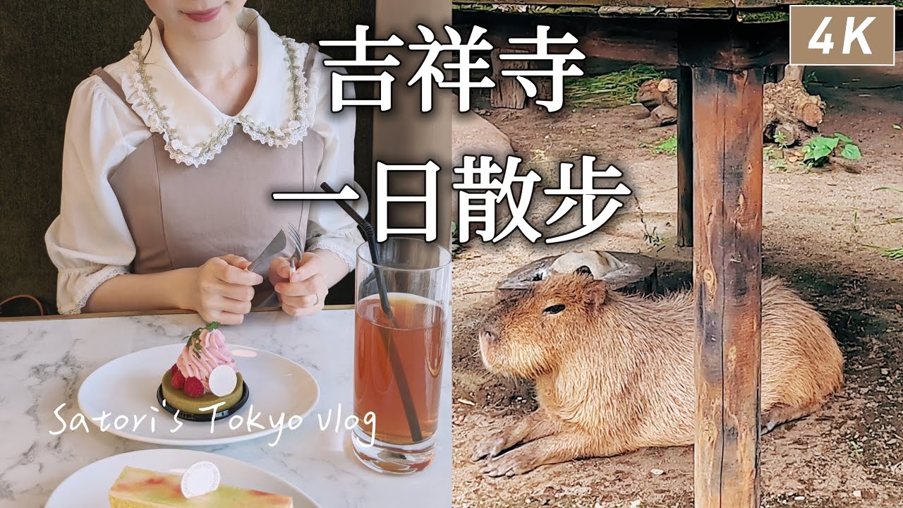 Tokyo vlog｜Kichijoji🐾Bakery Cafe、Inokashira Park Zoo、Taiwanese Gourmet 、MeetFresh