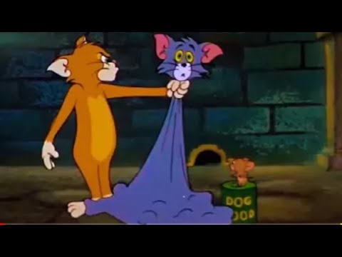Tom And Jerry English Episodes - Switchin' Kitten - Cartoons For Kids