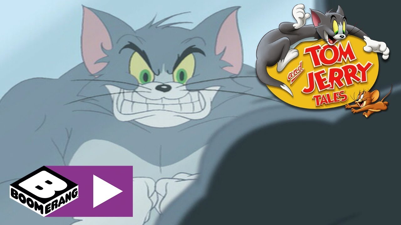 Tom and Jerry Tales | Beefcake Tom | Boomerang UK 🇬🇧