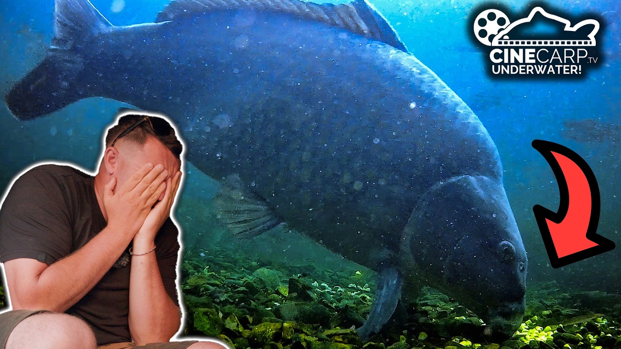 Tom Maker Underwater Carp Fishing! | CineCarp Underwater