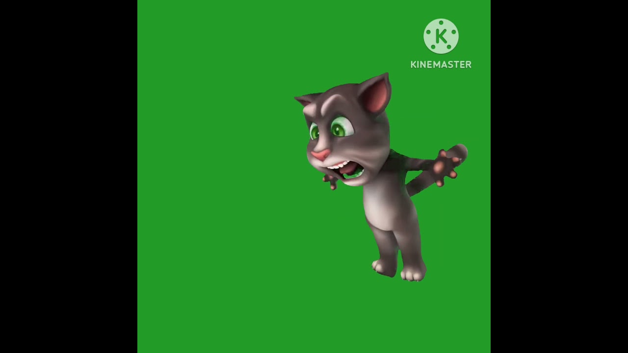 Tom using the bathroom green screen