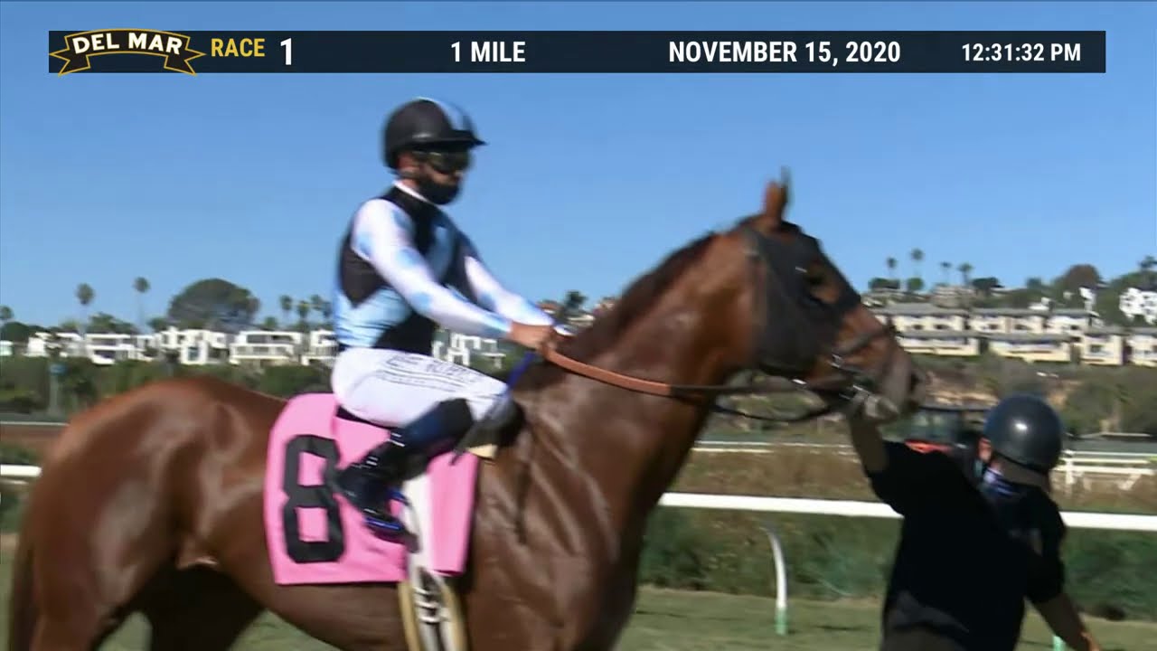 Too Much Heaven wins race 1 at Del Mar 11/15/20