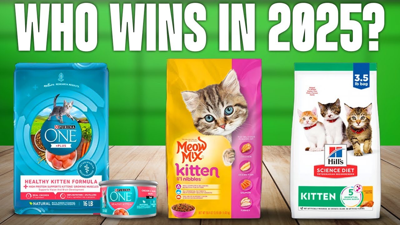 TOP 5 Best Kitten Foods 2025