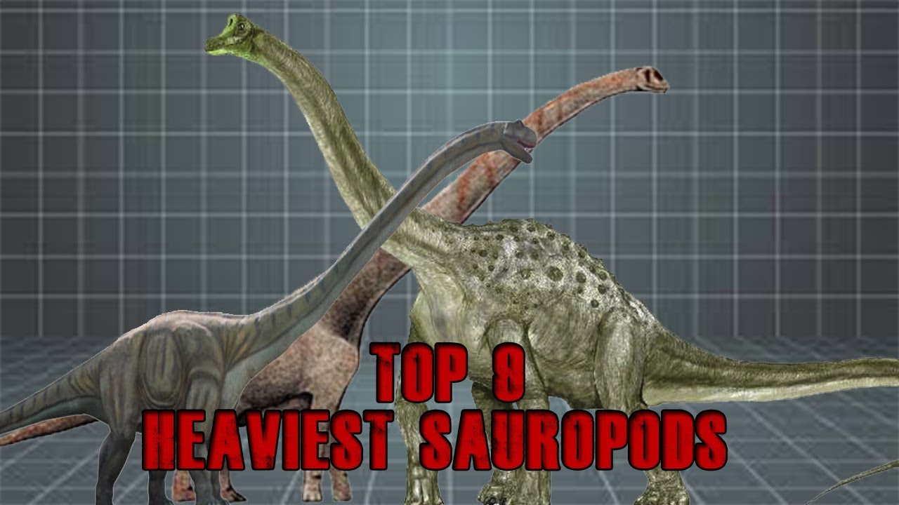 Top 9 Heaviest sauropods - dinosaur documentary 2019 ( animal documentary ) 1# planet